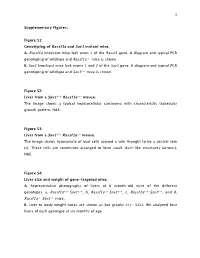 Fig S1 Genotyping