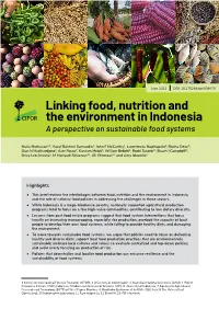 Linking Food, Nutrition and the Environment in Indonesia a Perspective on Sustainable Food Systems