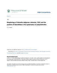 Morphology of Udonella Caligorum Johnston, 1835, and the Position of Udonellidae in the Systematics of Platyhelminths
