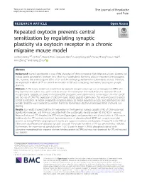 Repeated Oxytocin Prevents Central Sensitization by Regulating Synaptic