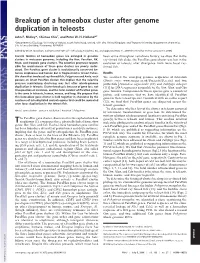 Breakup of a Homeobox Cluster After Genome Duplication in Teleosts