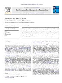 Insights Into the Function of Igd