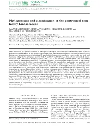 Phylogenetics and Classification of the Pantropical Fern Family Lindsaeaceae