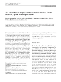 The Effect of Static Magnetic Field on Danube Huchen, Hucho Hucho (L.) Sperm Motility Parameters