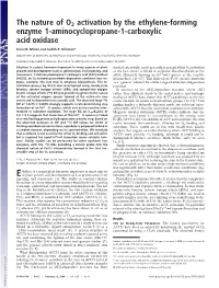 The Nature of O2 Activation by the Ethylene-Forming Enzyme 1-Aminocyclopropane-1-Carboxylic Acid Oxidase