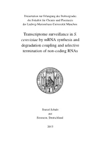 Transcriptome Surveillance in S. Cerevisiae by Mrna Synthesis and Degradation Coupling and Selective Termination of Non-Coding Rnas