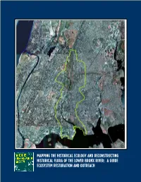 Mapping the Historical Ecology and Reconstructing the Historical Flora of the Lower Bronx River: a Guide for Ecosystem Restoration and Outreach
