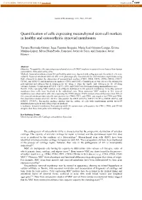 Quantification of Cells Expressing Mesenchymal Stem Cell Markers in Healthy and Osteoarthritic Synovial Membranes