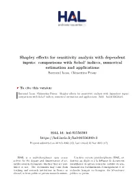 Shapley Effects for Sensitivity Analysis with Dependent Inputs