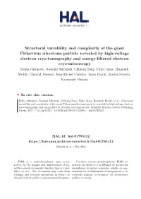 Structural Variability and Complexity of the Giant Pithovirus Sibericum