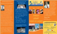 Summer Library Events & Classes