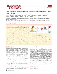 Facile Chemical Functionalization of Proteins Through Intein-Linked Yeast Display † † ‡ † § Carrie J