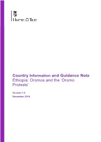 Oromo Protests’