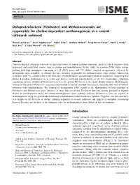 (Pelobacter) and Methanococcoides Are Responsible for Choline-Dependent Methanogenesis in a Coastal Saltmarsh Sediment