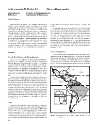 Andira Inermis 20