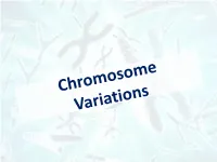 Chromosome Variations