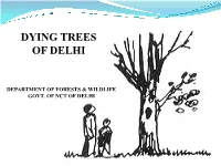 Dying Trees of Delhi
