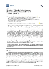 How Does Urban Pollution Influence Macroinvertebrate Traits In