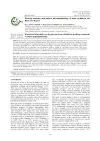 Pericarp Anatomy and Surface Micromorphology of Some Orchids in the Black Sea Region