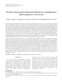 Revision of Tympanopleura Eigenmann (Siluriformes: Auchenipteridae) with Description of Two New Species