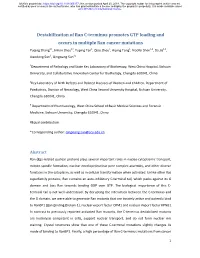 Destabilization of Ran C-Terminus Promotes GTP Loading and Occurs