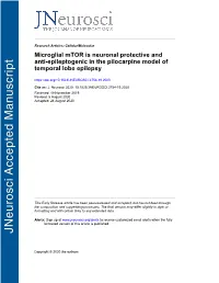 Microglial Mtor Is Neuronal Protective and Anti-Epileptogenic in the Pilocarpine Model of Temporal Lobe Epilepsy