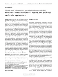 Photonics Meets Excitonics: Natural and Artificial Molecular Aggregates
