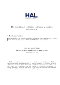 The Evolution of Cavitation Resistance in Conifers Maximilian Larter