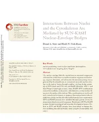 Interactions Between Nuclei and the Cytoskeleton Are Mediated by SUN-KASH Nuclear-Envelope Bridges