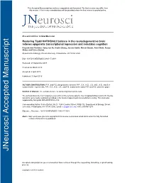 Restoring Tip60 HAT/HDAC2 Balance in the Neurodegenerative Brain Relieves Epigenetic Transcriptional Repression and Reinstates C
