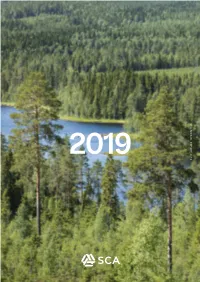Sca Annual Report 2019 2019 Introduction