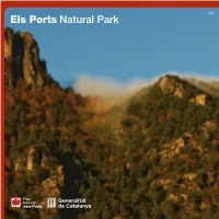 Els Ports Natural Park
