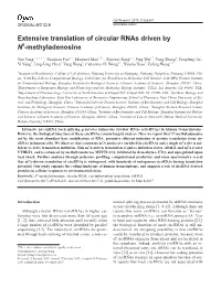 Extensive Translation of Circular Rnas Driven by N6-Methyladenosine