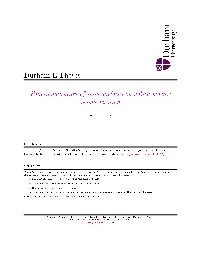 Functionalization of Solid Surfaces by Pulsed Plasma Polymerization