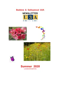 Summer 2020 Newsletter