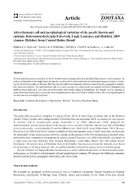 Advertisement Call and Morphological Variation of the Poorly Known And