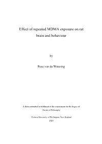 Effect of Repeated MDMA Exposure on Rat Brain and Behaviour