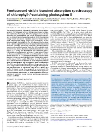 Femtosecond Visible Transient Absorption Spectroscopy of Chlorophyll-F-Containing Photosystem II