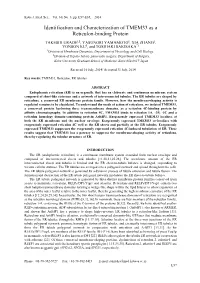 Identification and Characterization of TMEM33 As a Reticulon-Binding Protein