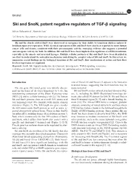 Ski and Snon, Potent Negative Regulators of TGF-Β Signaling