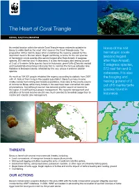 The Heart of Coral Triangle