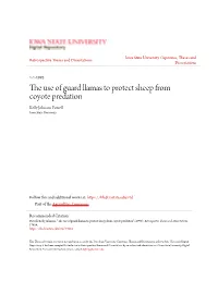 The Use of Guard Llamas to Protect Sheep from Coyote Predation" (1993)