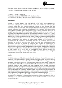 Triterpenoids from Balsams: Useful Markers to Recognize Genuine, Adulterated and Archaeological Resins