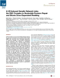 A UV-Induced Genetic Network Links the RSC Complex to Nucleotide Excision Repair and Shows Dose-Dependent Rewiring