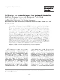 Cell Structure and Seasonal Changes of The