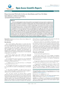 Experimental Hybrids Between Ascidians and Sea Urchins