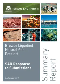 Response to Submissions