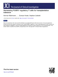 Harnessing FOXP3 Regulatory T Cells for Transplantation Tolerance