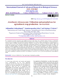 Azotobacter Chroococcum: Utilization and Potential Use for Agricultural Crop Production: an Overview