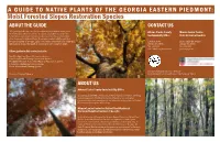 Moist Forested Slopes Restoration Species